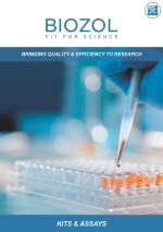 BIOZOL Broschüre 'Kits & Assays'